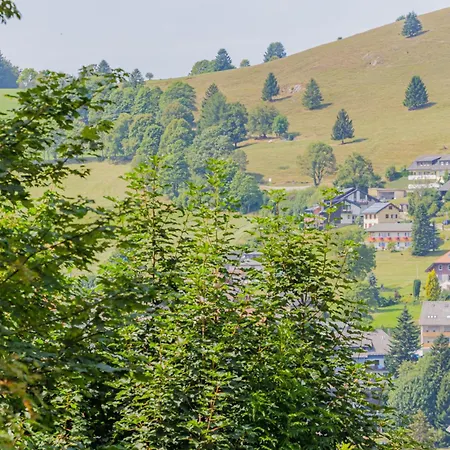 S'baechle Mit Balkon Am Bach - Mein Swh * Todtnauberg