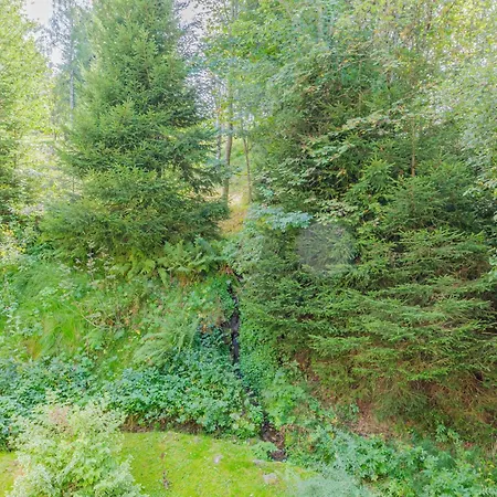 Apartamento S'baechle Mit Balkon Am Bach - Mein Swh *